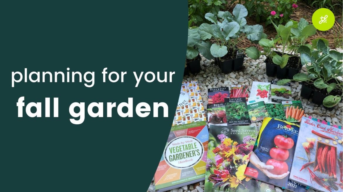 Planning Your Fall Garden