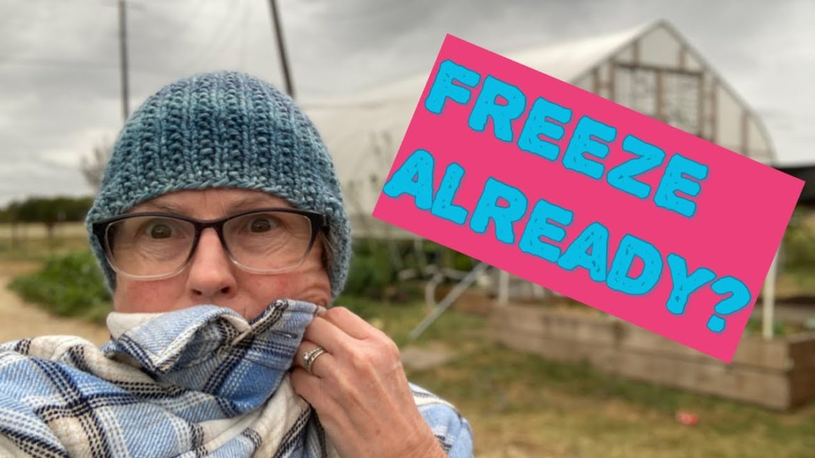Possible freeze in Texas so soon? Protect your plants!