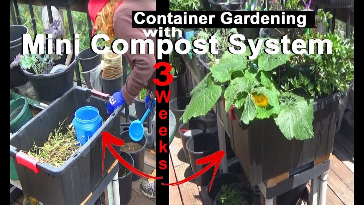 Set Up-GROWING Container Gardening with Compost in Place-Mini Worm Farm-Plant Food Tea-Hummingbirds
