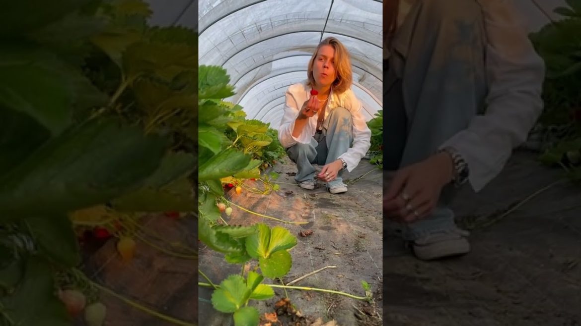 #food #吃食物 快手