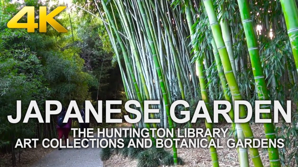 4K Walking Tour | Japanese Garden - The Huntington Library Art Collections and Botanical Gardens