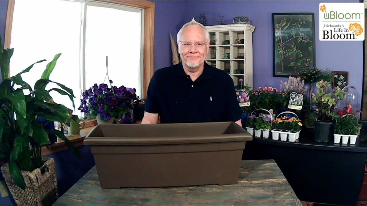 Cutting Container Garden with J Schwanke ENGLISH GARDENS Cutting Container Garden with J Schwanke ENGLISH GARDENS
