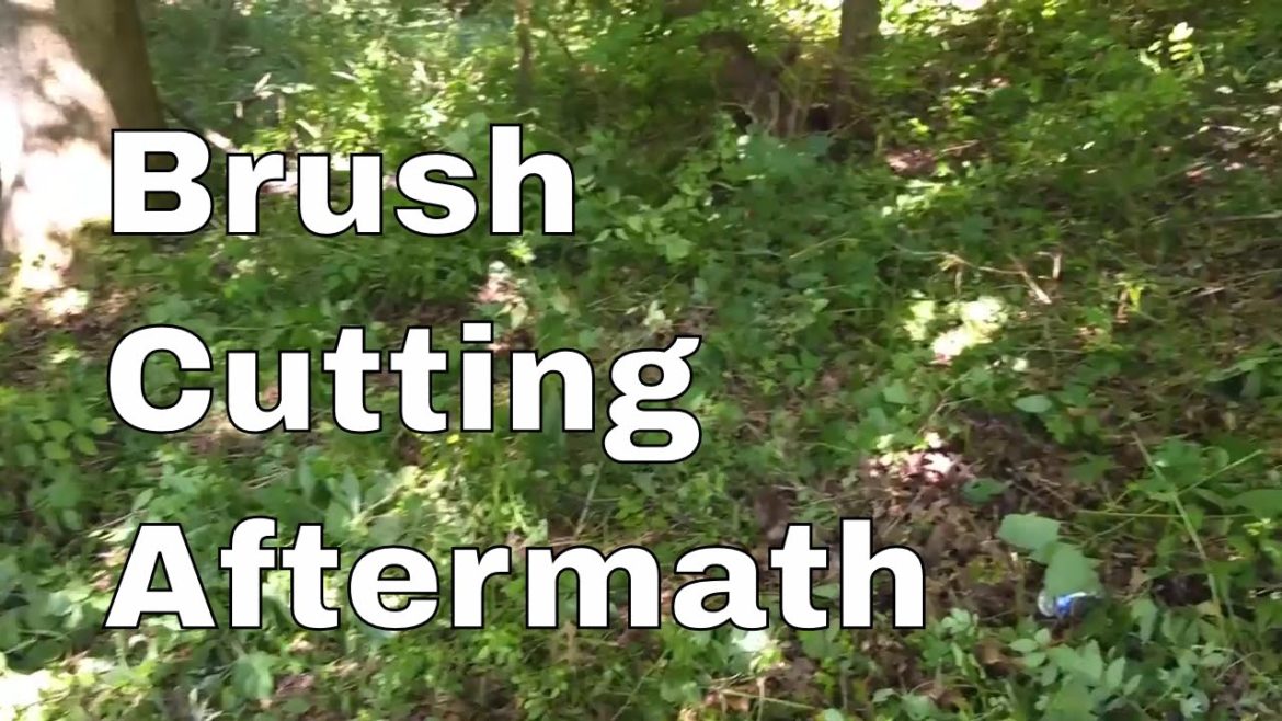 More Brush Cutting Aftermath + Weeding + Yard/Garden Plans For The Future