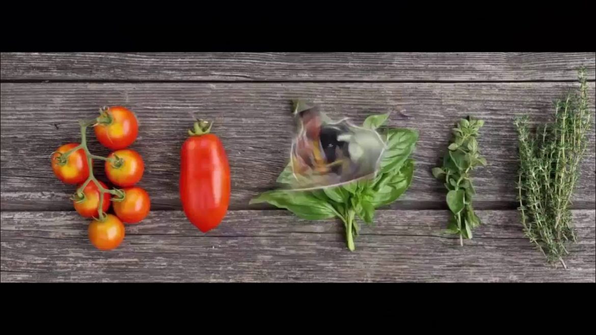 Kitchen Gardening Overview | Beginning Vegetable Gardening September-2016 (Urdu/hindi)