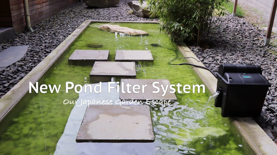 Unpacking and Installing a Pond Filter System | Our Japanese Garden Escape