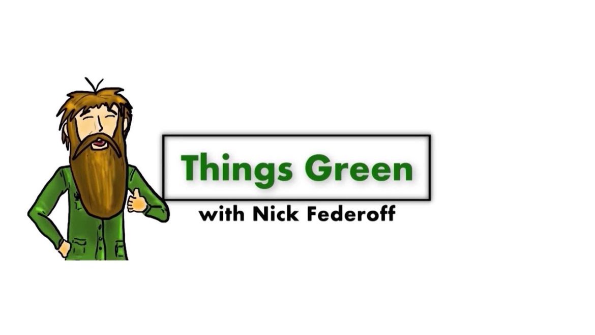 Elements of a Front YARD Landscape