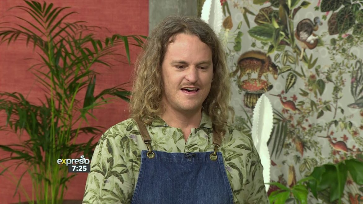 Plant Trends (PLANTIFY)