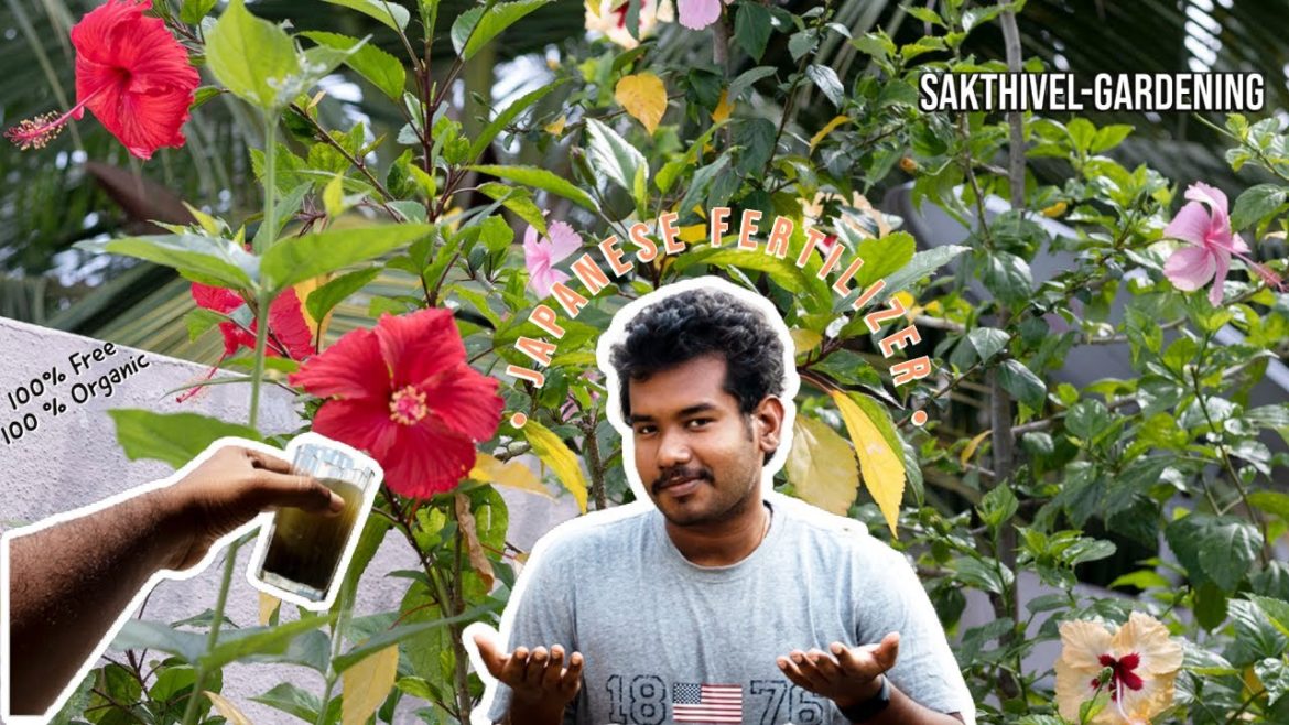 The Plant-Based Organic Liquid Fertilizer- Japanese Secret Gardening Technique The Plant-Based Organic Liquid Fertilizer- Japanese Secret Gardening Technique