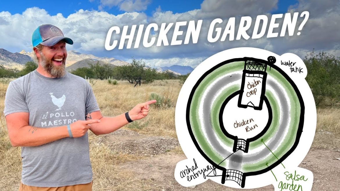 Let’s Build a Chicken Garden! New Hyperadobe Earthbag Project Plans