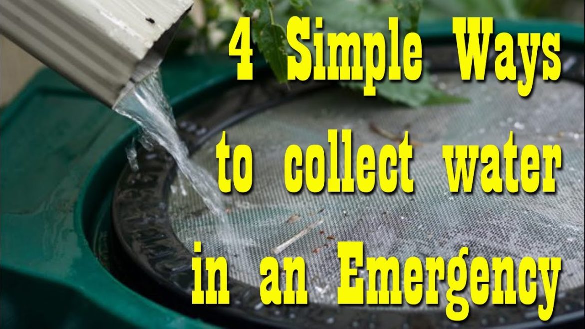 4 Simple Rain Water Collection Ideas for SHTF ~ Preparedness