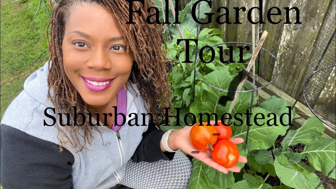 Fall / Winter Garden Tour Raised Bed Garden And Weather Chat Suburban Garden Homestead