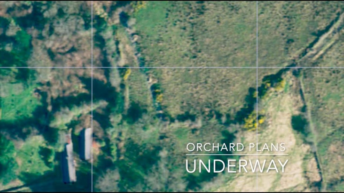 Irish Cottage Renovation Orchard Plans Underway | Altavra Homestead Vlog 12 Irish Cottage Renovation Orchard Plans Underway | Altavra Homestead Vlog 12