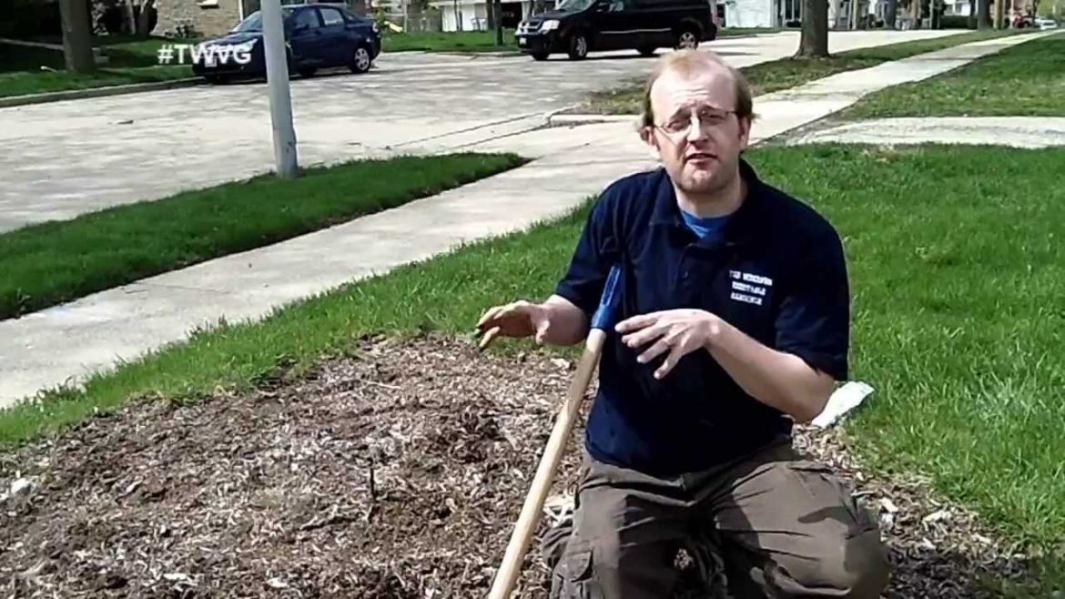 Planting Beets and Secret Front Yard Garden- The Wisconsin Vegetable Gardener Extra 46 Planting Beets and Secret Front Yard Garden- The Wisconsin Vegetable Gardener Extra 46