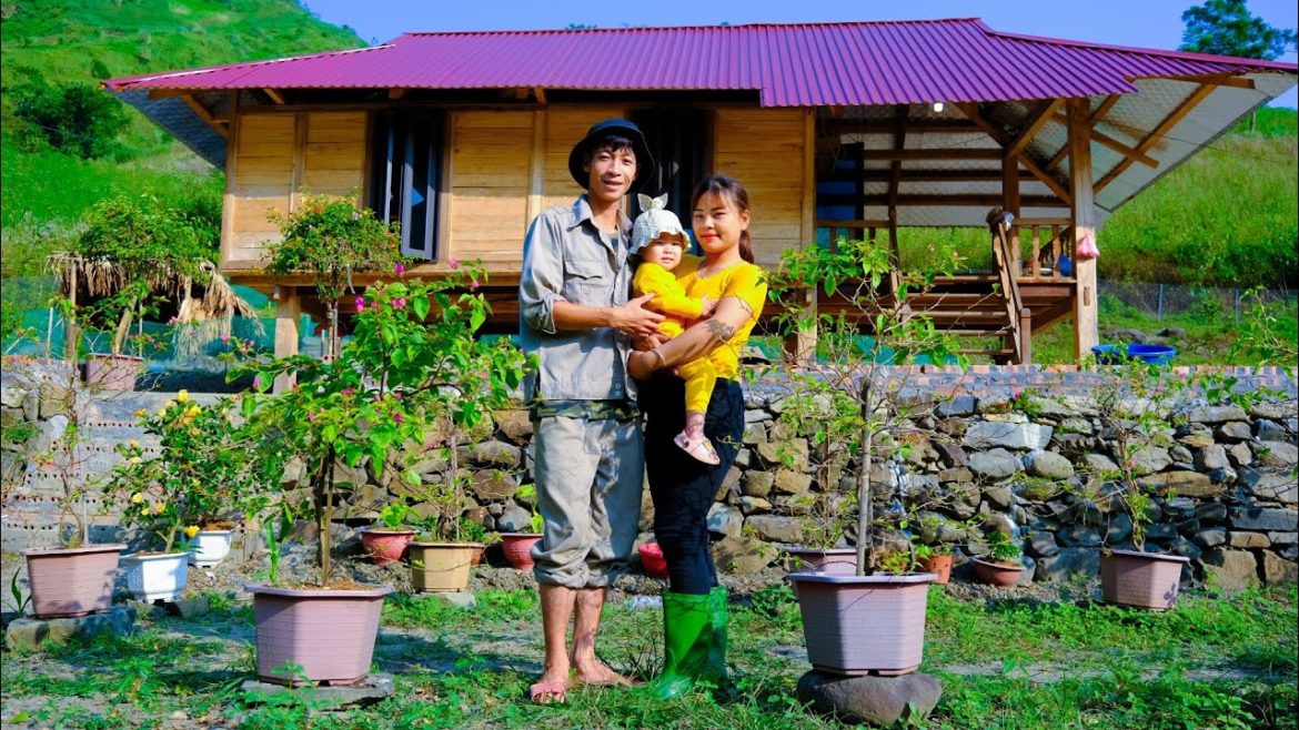 FULL VIDEO; 2 years of building off-grid life, aquarium, vegetable garden and pond FULL VIDEO; 2 years of building off-grid life, aquarium, vegetable garden and pond