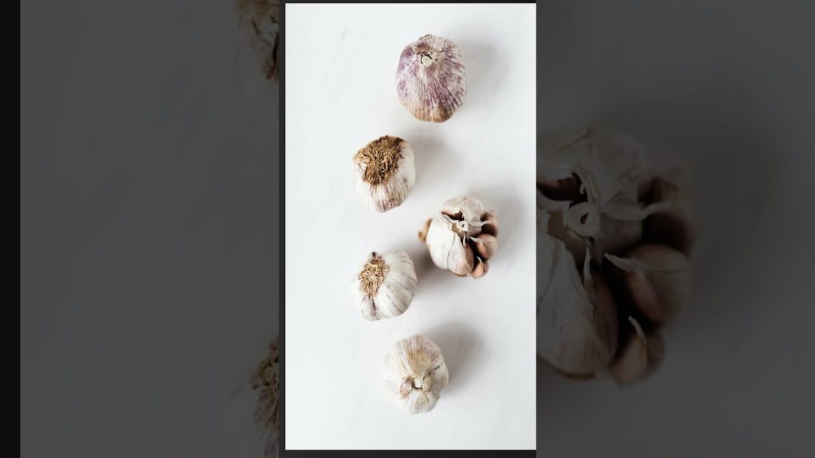 🔝Winter Season Vegetables.#shorts #shortsvideo #short