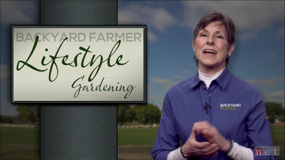 Lifestyle Gardening:  Tree and Shrub Health