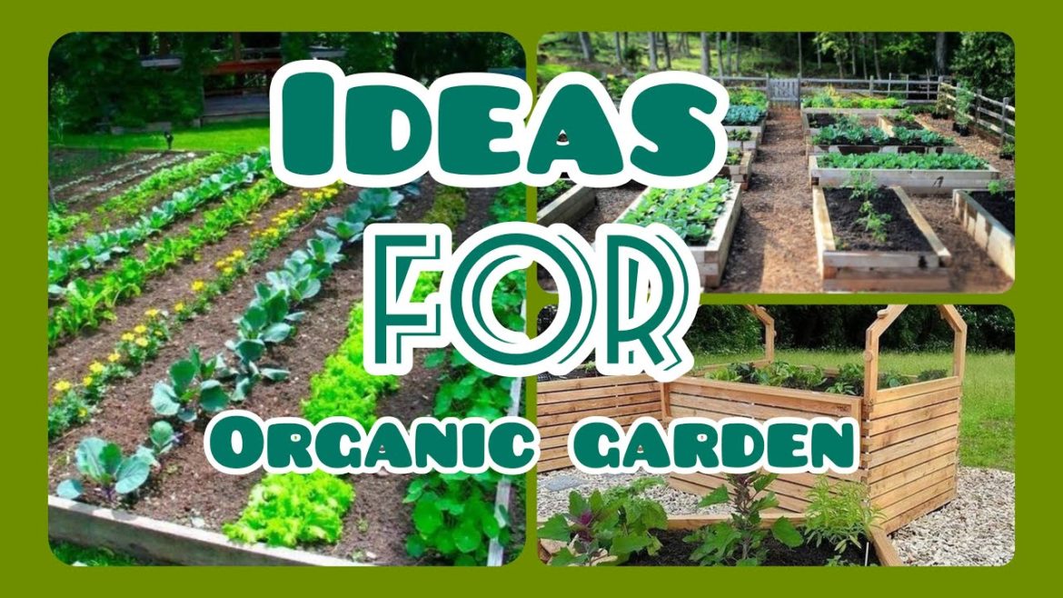 SMART TIPS AND TRICK ORGANIC GARDENING | Garden Aesthetic SMART TIPS AND TRICK ORGANIC GARDENING | Garden Aesthetic