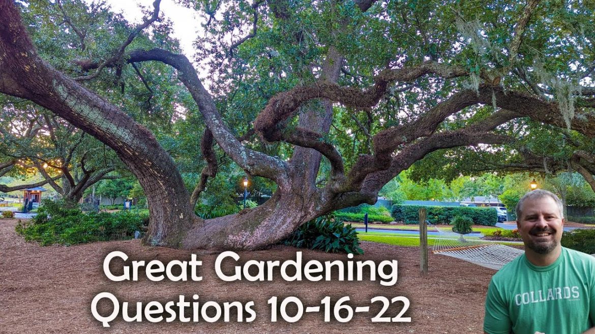 Great Garden Questions Answered - When to cut back perennials - Overwinter plants - Planting Bulbs