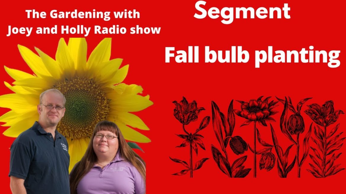 segment 2 of S6E32  Fall Bulb planting -  The Gardening with Joey and Holly Radio Show