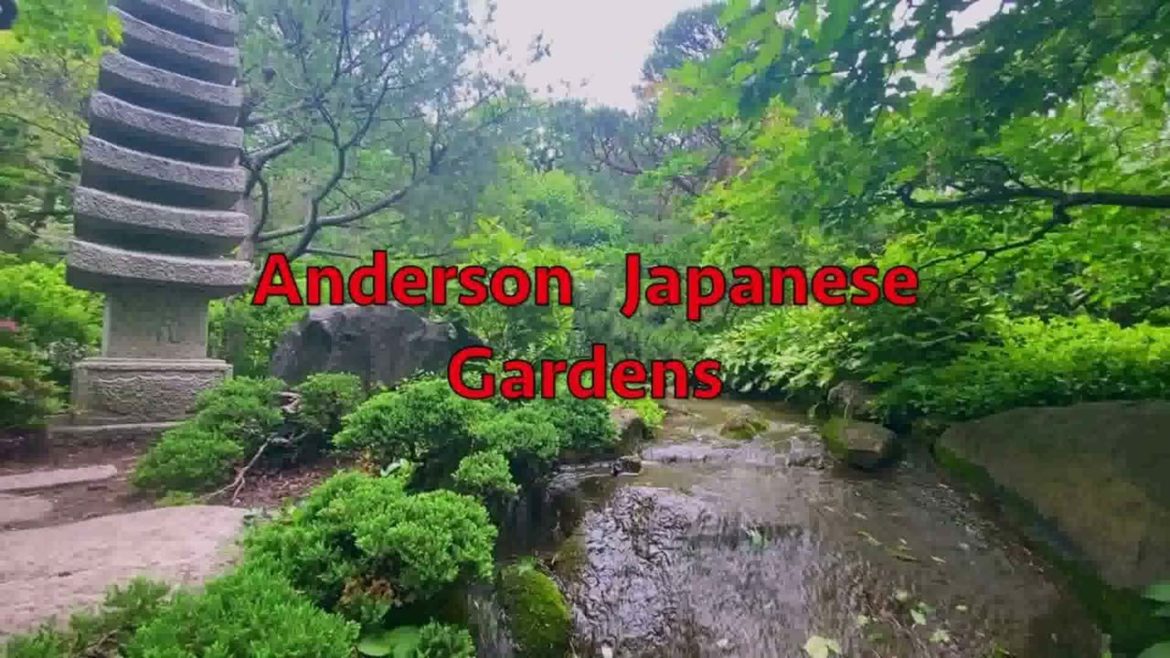 Japanese Garden Design Phoenix Arizona