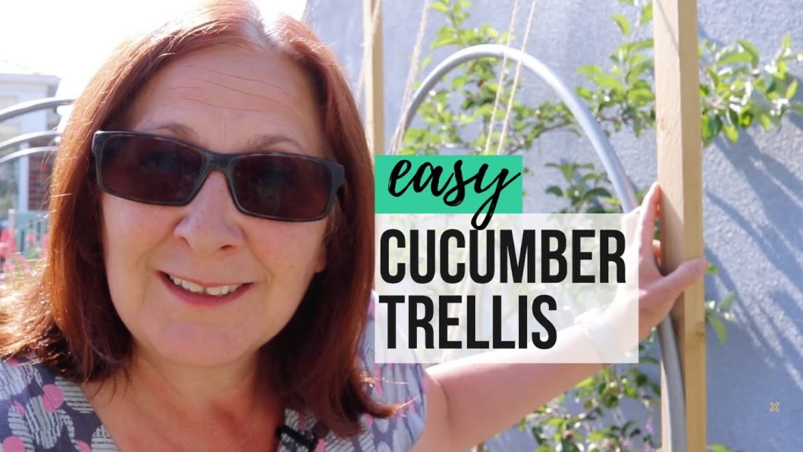 How to Make a Simple Cucumber Trellis – Vertical Vegetable Gardening Ideas How to Make a Simple Cucumber Trellis - Vertical Vegetable Gardening Ideas