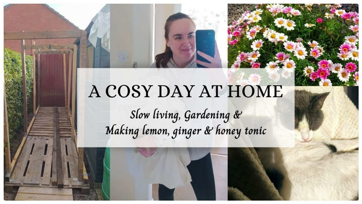 A Cosy Day At Home | Slow Living, Gardening & Making Immune Tonic A Cosy Day At Home | Slow Living, Gardening & Making Immune Tonic
