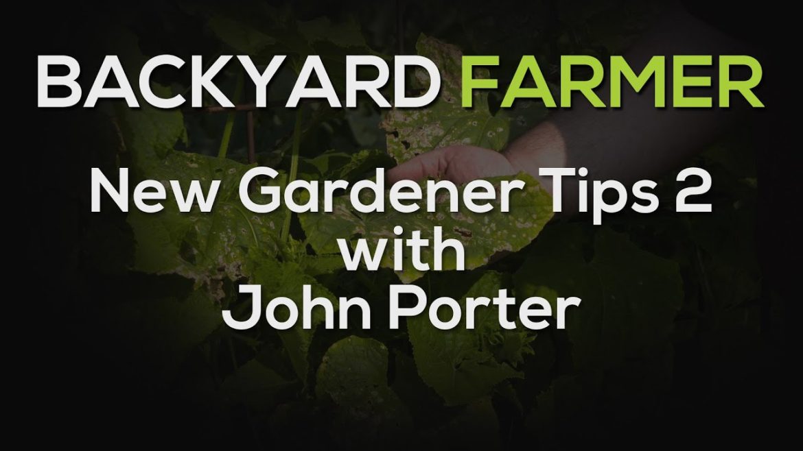 New Gardener Tips 2