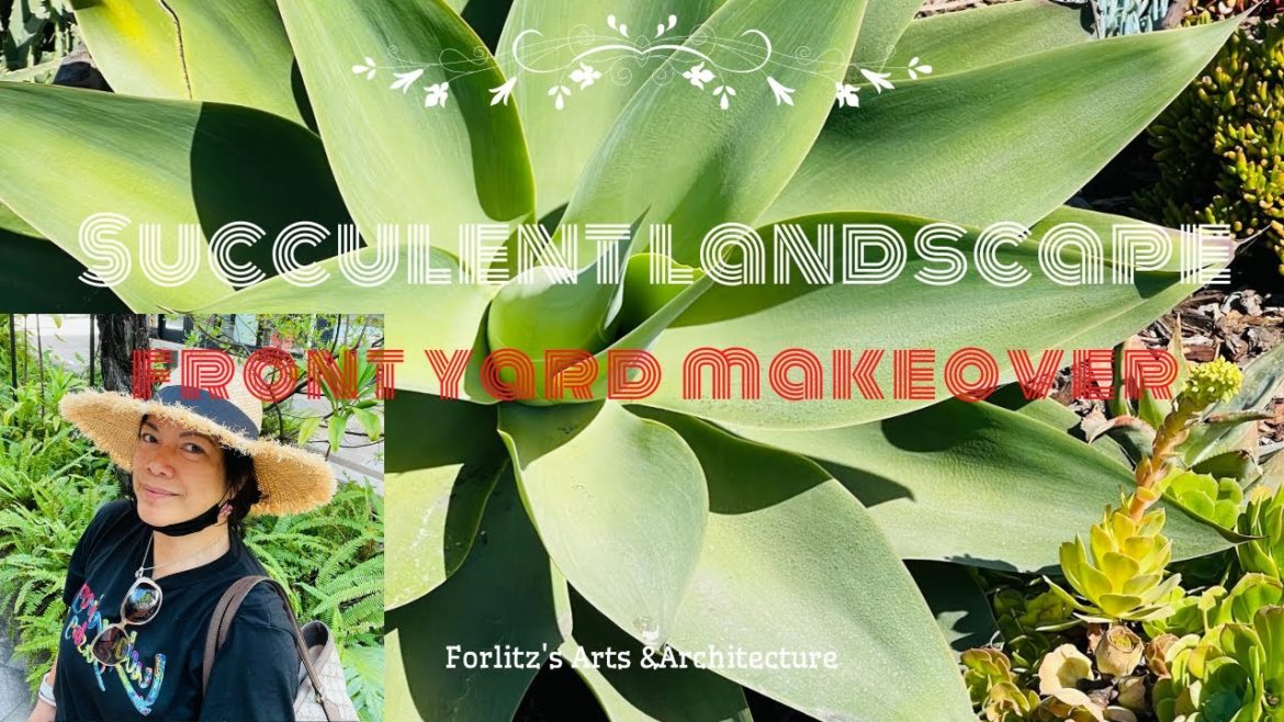 Front Yard Succulent Landscape