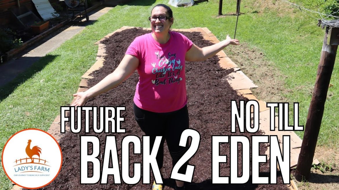 Back to Eden Gardening // My Future No Till backyard garden Back to Eden Gardening // My Future No Till backyard garden