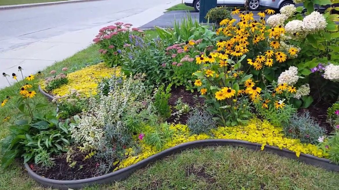 GARDEN TOUR | Checking how's the PERENNIAL frontyard garden doing | September Garden Tour