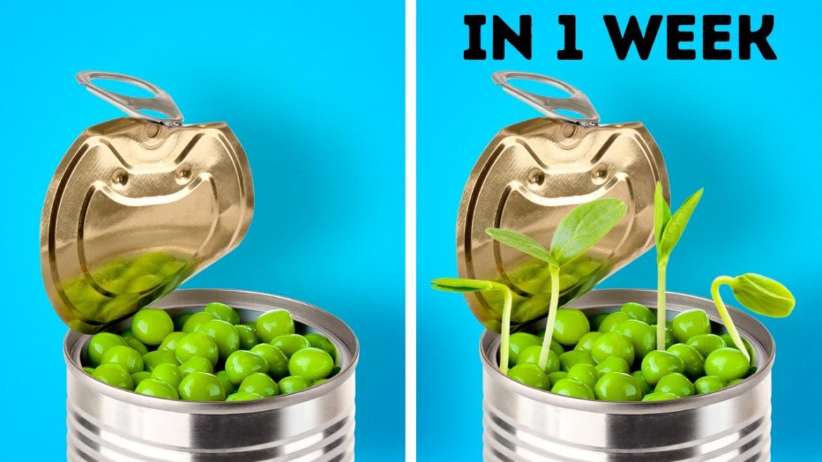 27 PLANT AND GARDEN HACKS || Easy Ways To Grow Seeds And DIY Backyard Upgrades 27 PLANT AND GARDEN HACKS || Easy Ways To Grow Seeds And DIY Backyard Upgrades