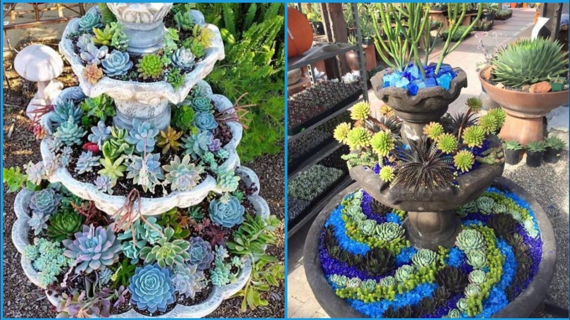 succulents garden design - unique and beautiful garden design and ideas