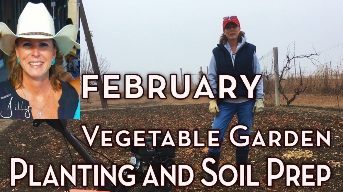 North Texas Vegetable Garden Planting and Soil Prep - February