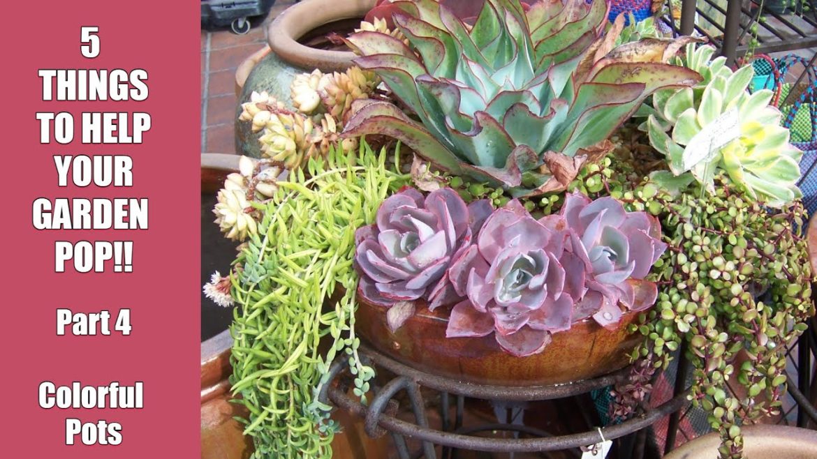 5 Things to Help Your Garden POP! Part 4 Colorful Pots 5 Things to Help Your Garden POP! Part 4 Colorful Pots