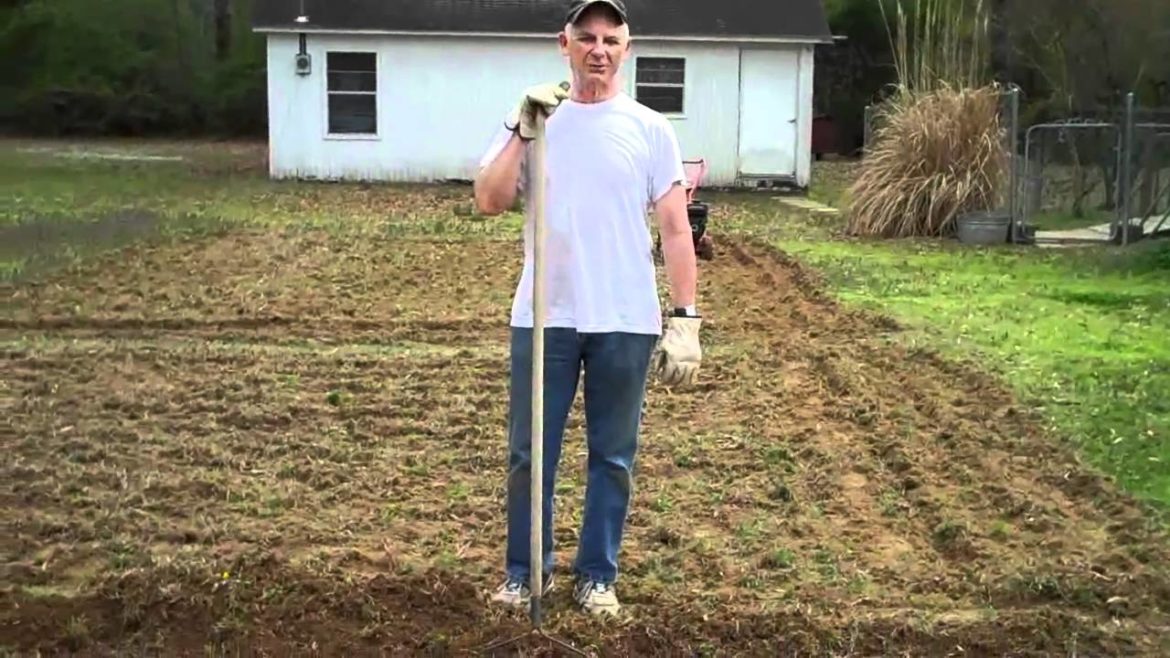 Our Arkansas Vegetable Garden (Part 1).
