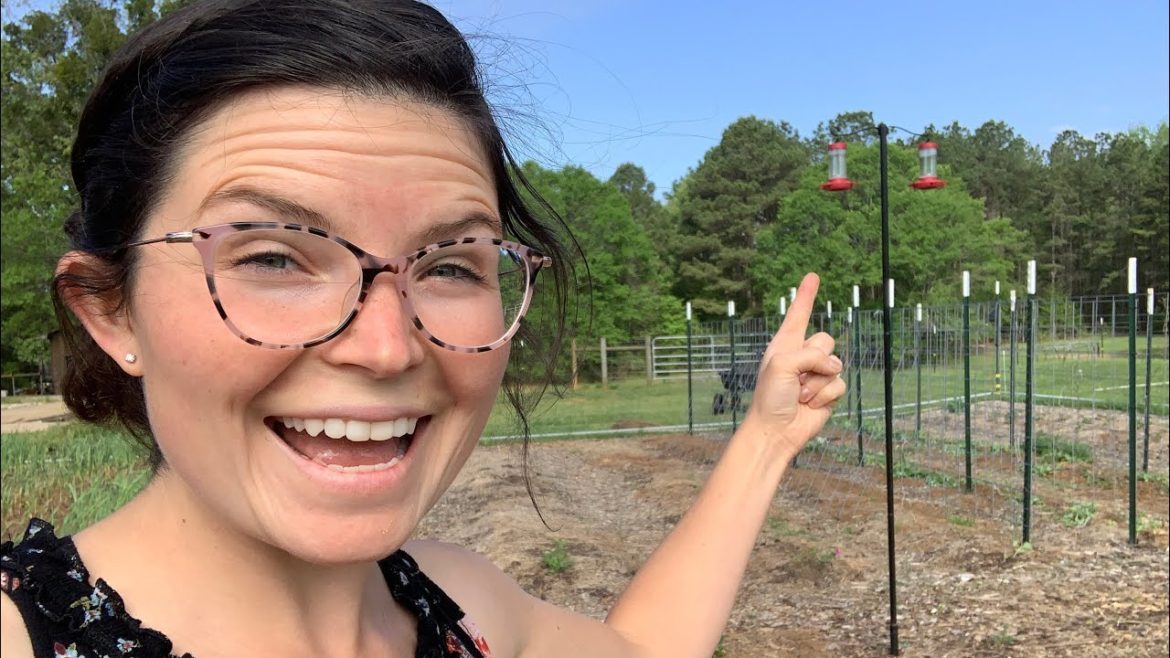 FOUR THINGS Any Gardener Can Do | Gardening Tips | Baker Hill Farm FOUR THINGS Any Gardener Can Do | Gardening Tips | Baker Hill Farm