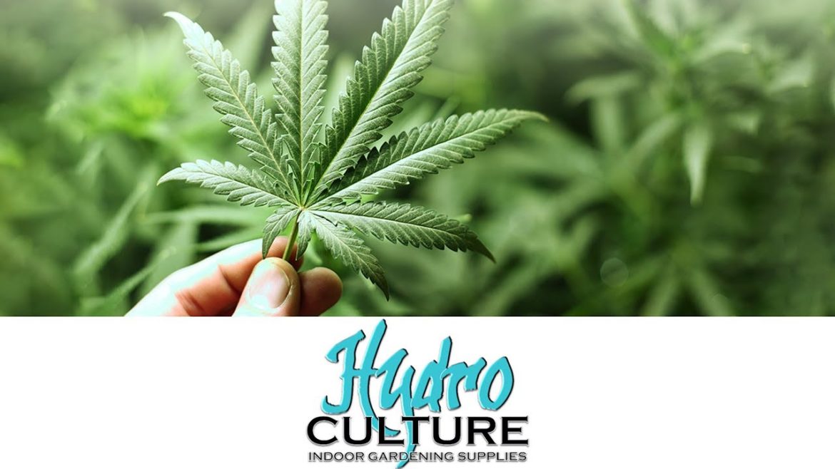 HydroCulture Indoor Gardening Supplies Introduction