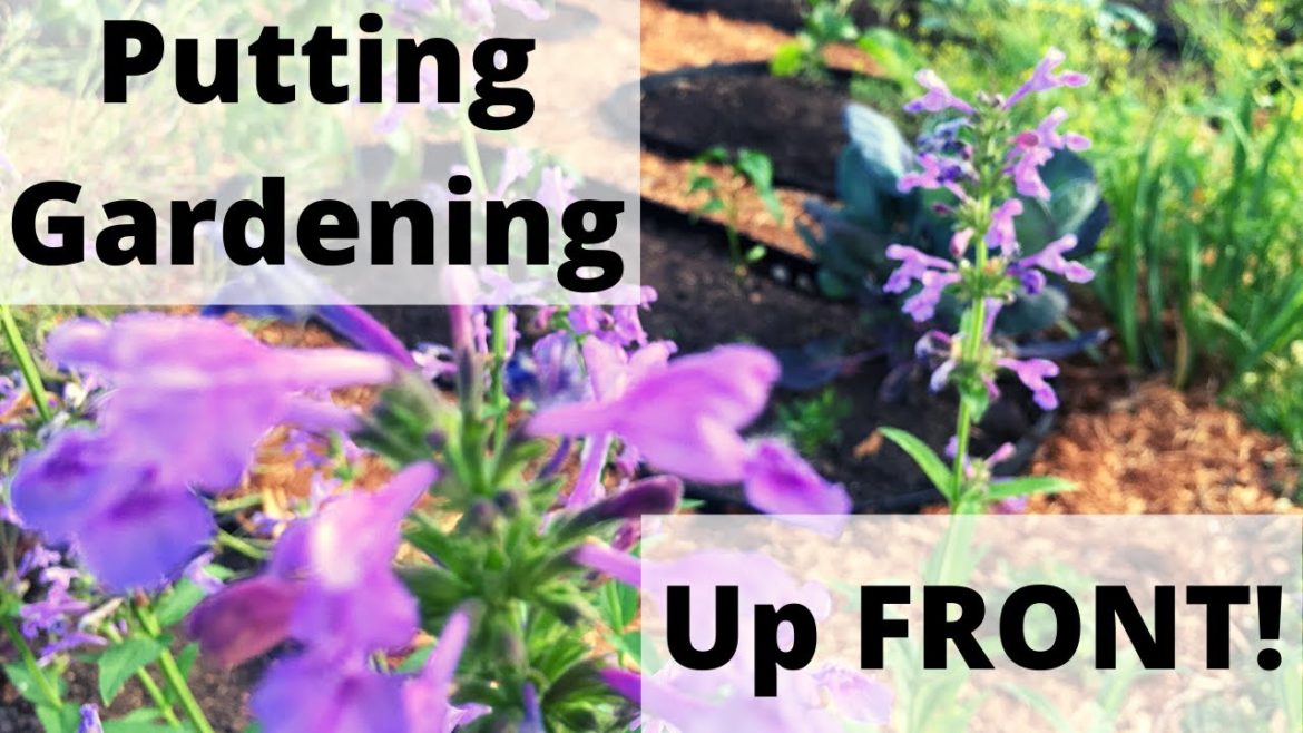 Spring Front Yard Garden Tour | Three SIMPLE Ways to Give Your Garden Curb Appeal | Guten Yardening Spring Front Yard Garden Tour | Three SIMPLE Ways to Give Your Garden Curb Appeal | Guten Yardening