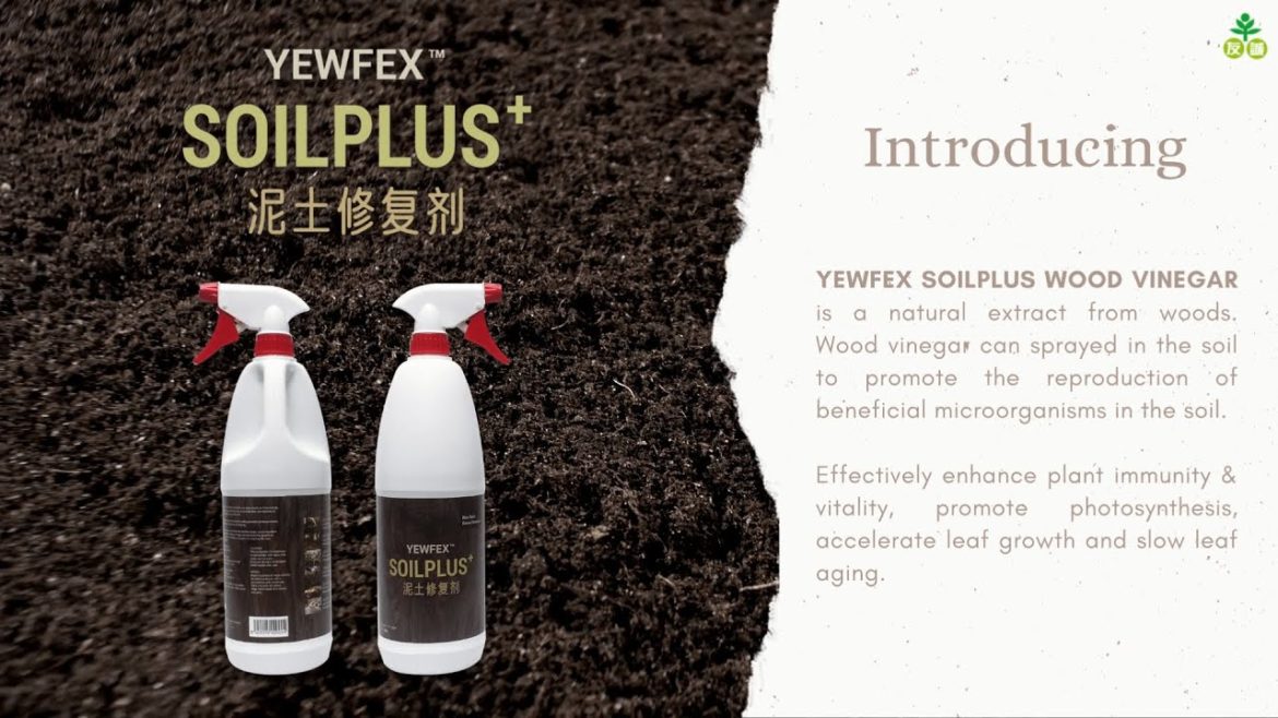Boost Your Soil to The Next Level With Our YEWFEX SoilPlus+ | YEWFEX SoilPlus+ Boost Your Soil to The Next Level With Our YEWFEX SoilPlus+ | YEWFEX SoilPlus+