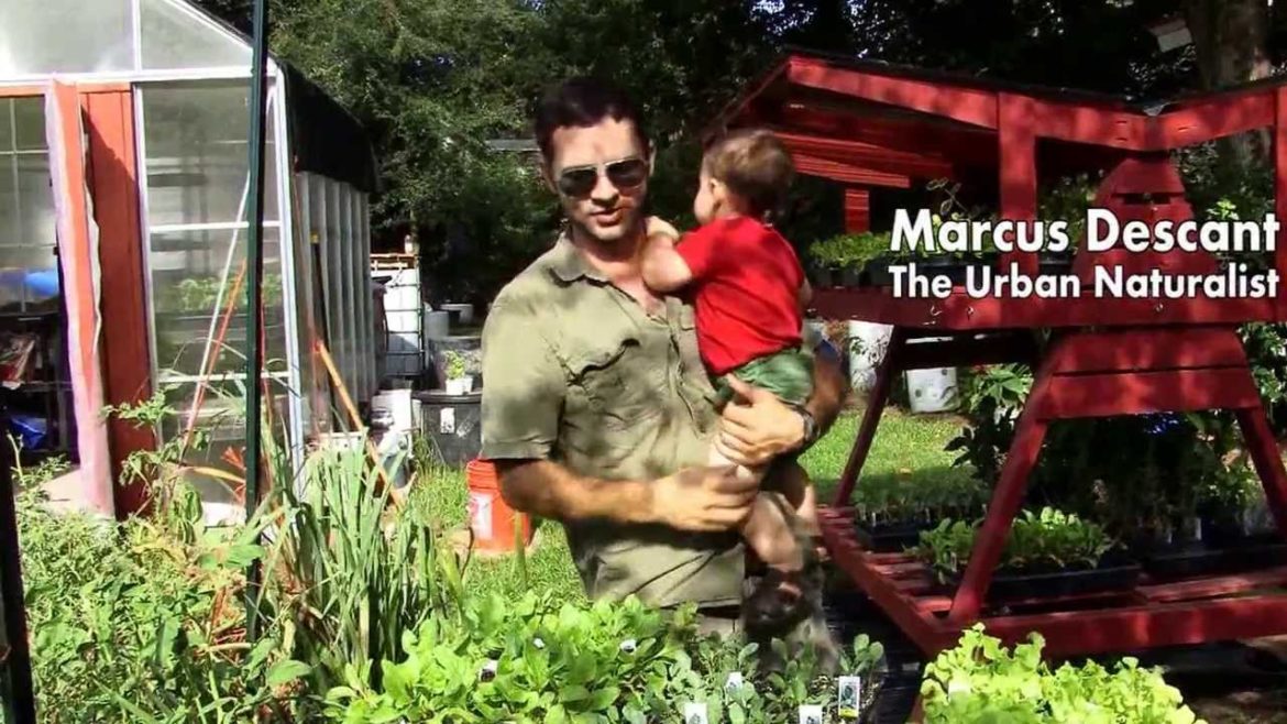 Fall Crops for an Edible Garden & Food Forest Fall Crops for an Edible Garden & Food Forest
