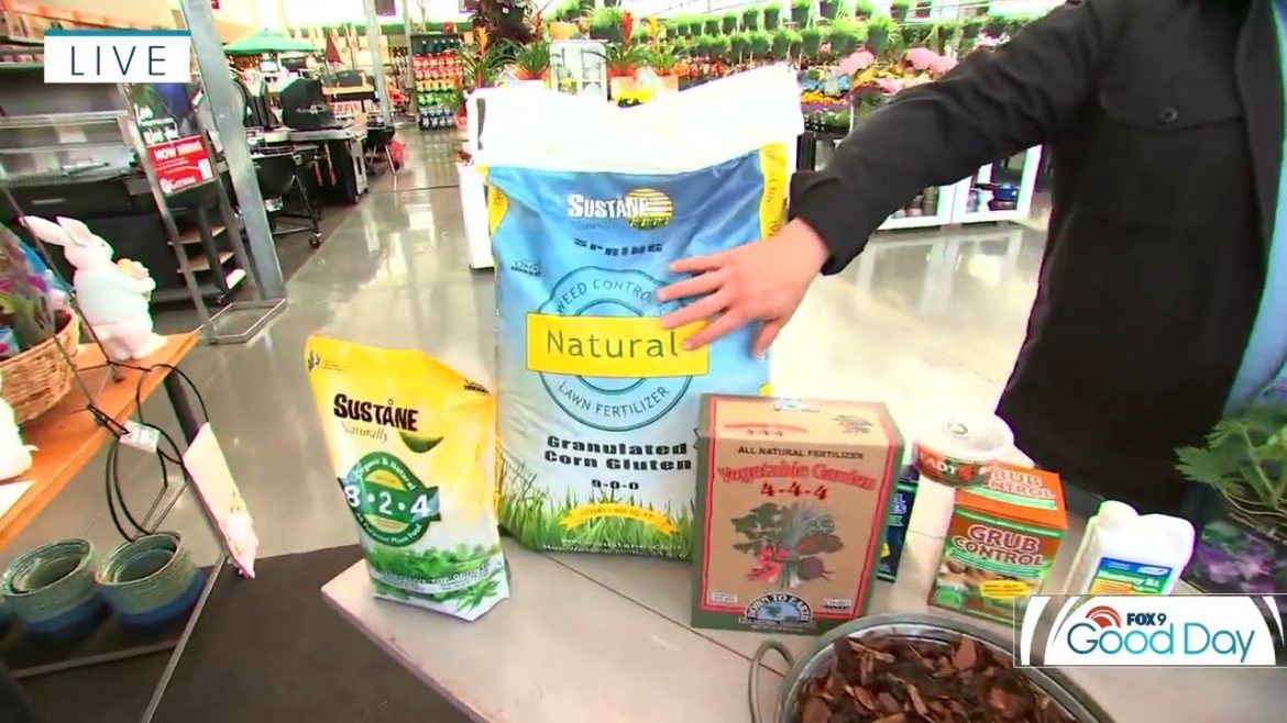 Tips for sustainable gardening in Minnesota