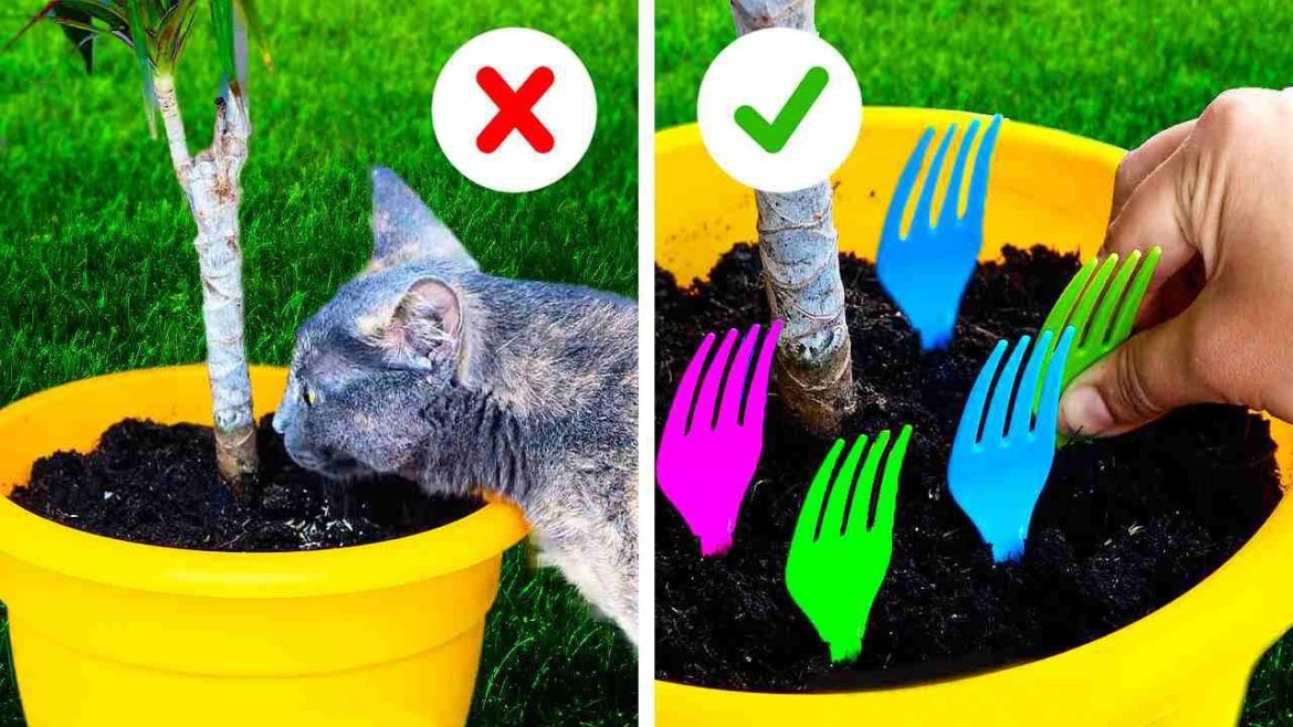 How to Protect Your Plants || Growing Plants & Gardening Tips