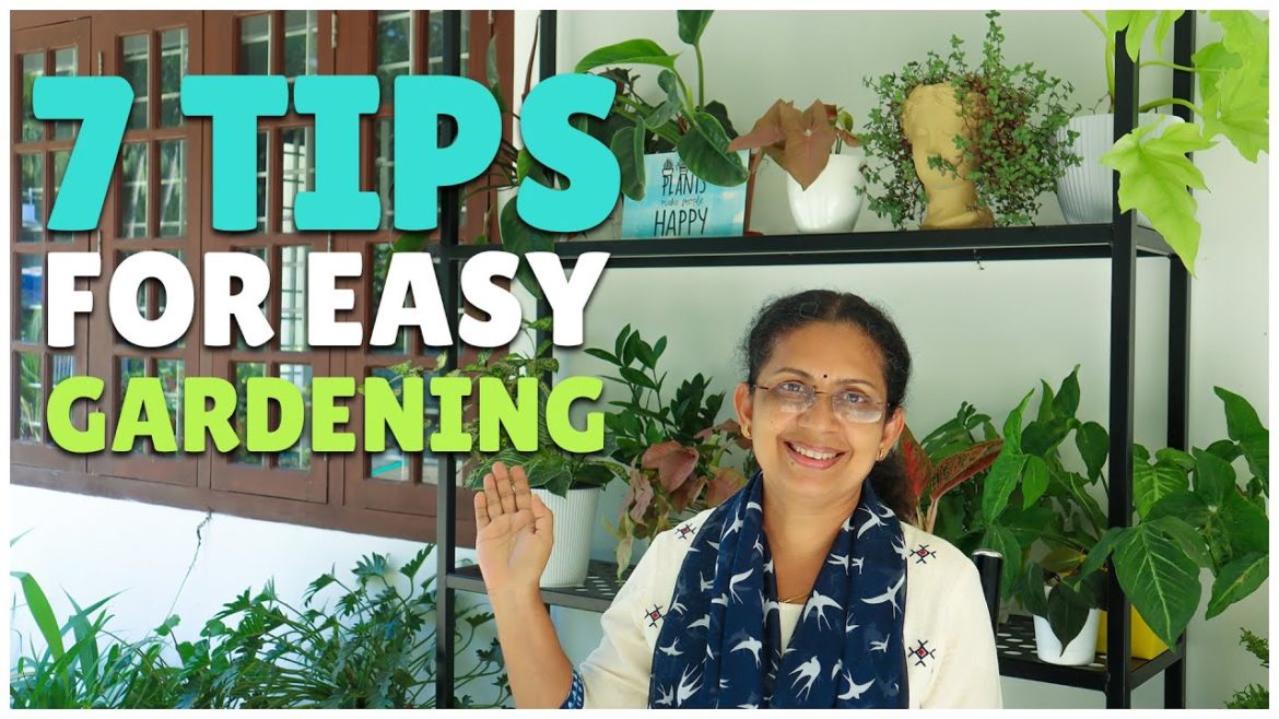 7 Important Gardening Tips for Beginners 7 Important Gardening Tips for Beginners