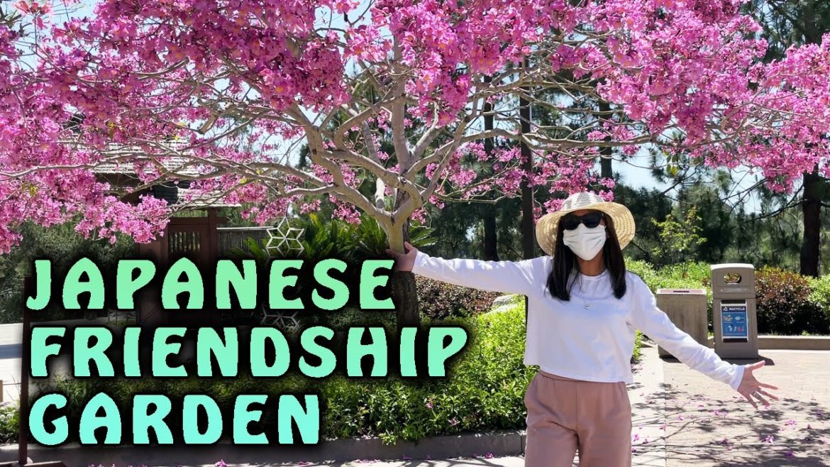 Japanese Friendship Garden Balboa Park San Diego | ZAM adventures