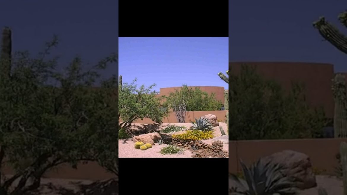 Landscape Desing ideas Best ideas for  garden and landscape #230 #shorts 42