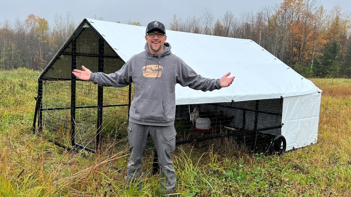 TESTING a Predator PROOF Mobile Chicken COOP TESTING a Predator PROOF Mobile Chicken COOP