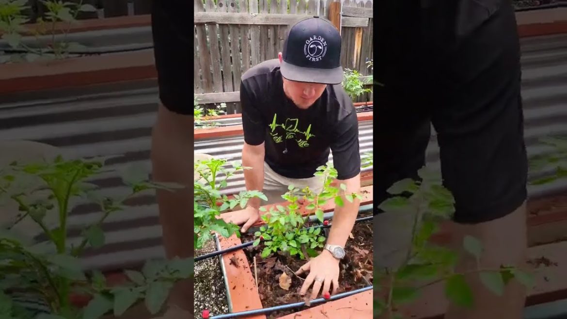 How neat is that?! 🙊#mulch #earthworms