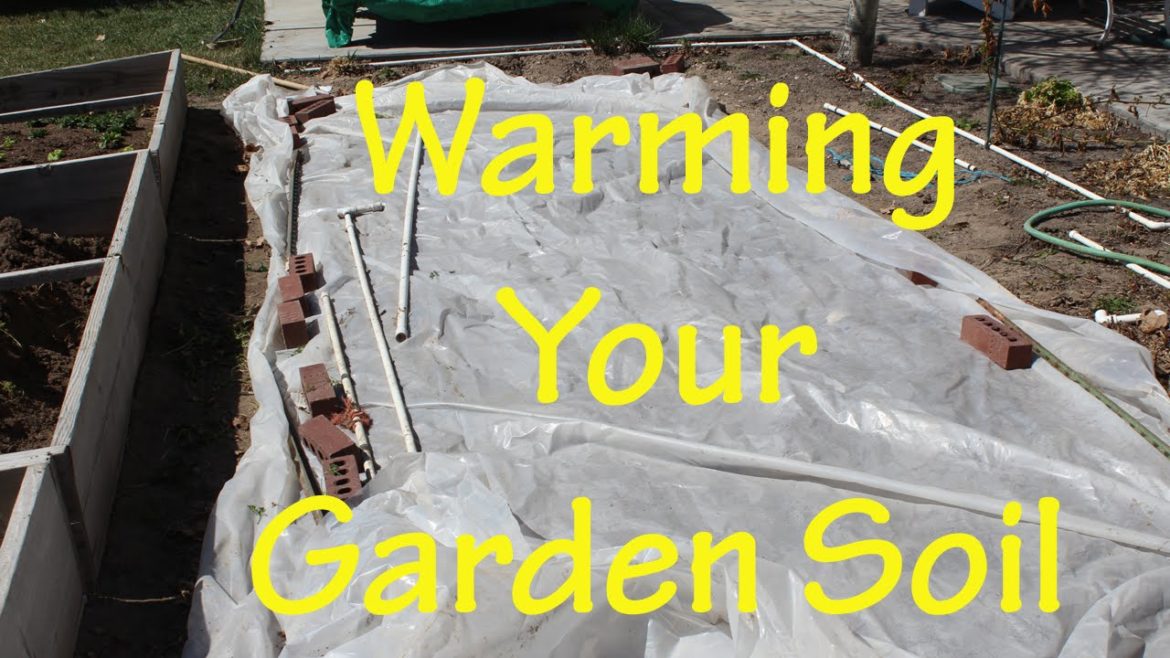 Gardening Tips: Warming your garden soil for early spring planting! (Ep 2)