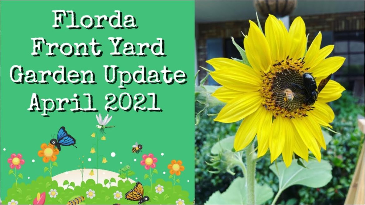 Florida Front Yard Garden Update: April 2021