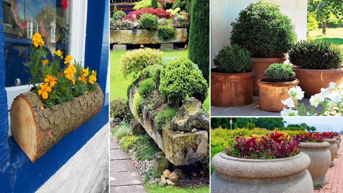 35 Unusual Flower Beds and Container Ideas for Beautiful Yard Landscaping